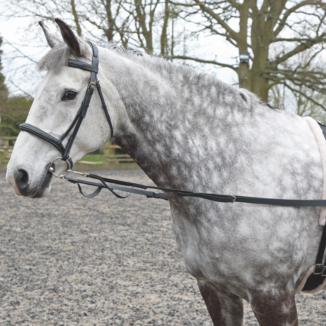 Rênes latérales en nylon Shires